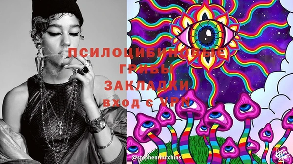 тгк Вяземский