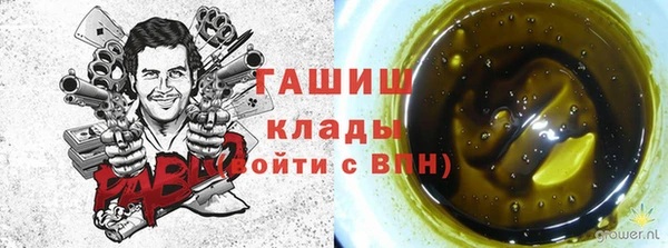 тгк Вяземский
