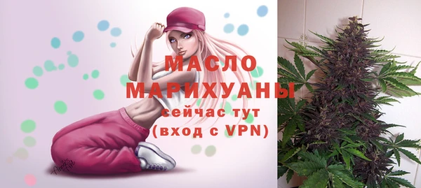 тгк Вяземский